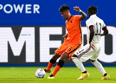 56286900 ORANGE PICTURES