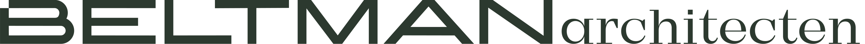 Beltmanarchitecten large groen