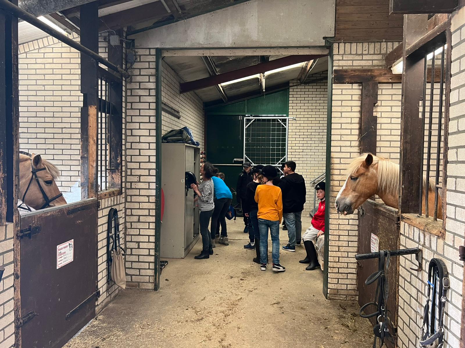 25052022 Passend sporten