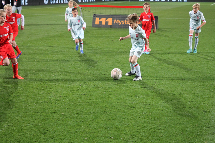 IMG 9031