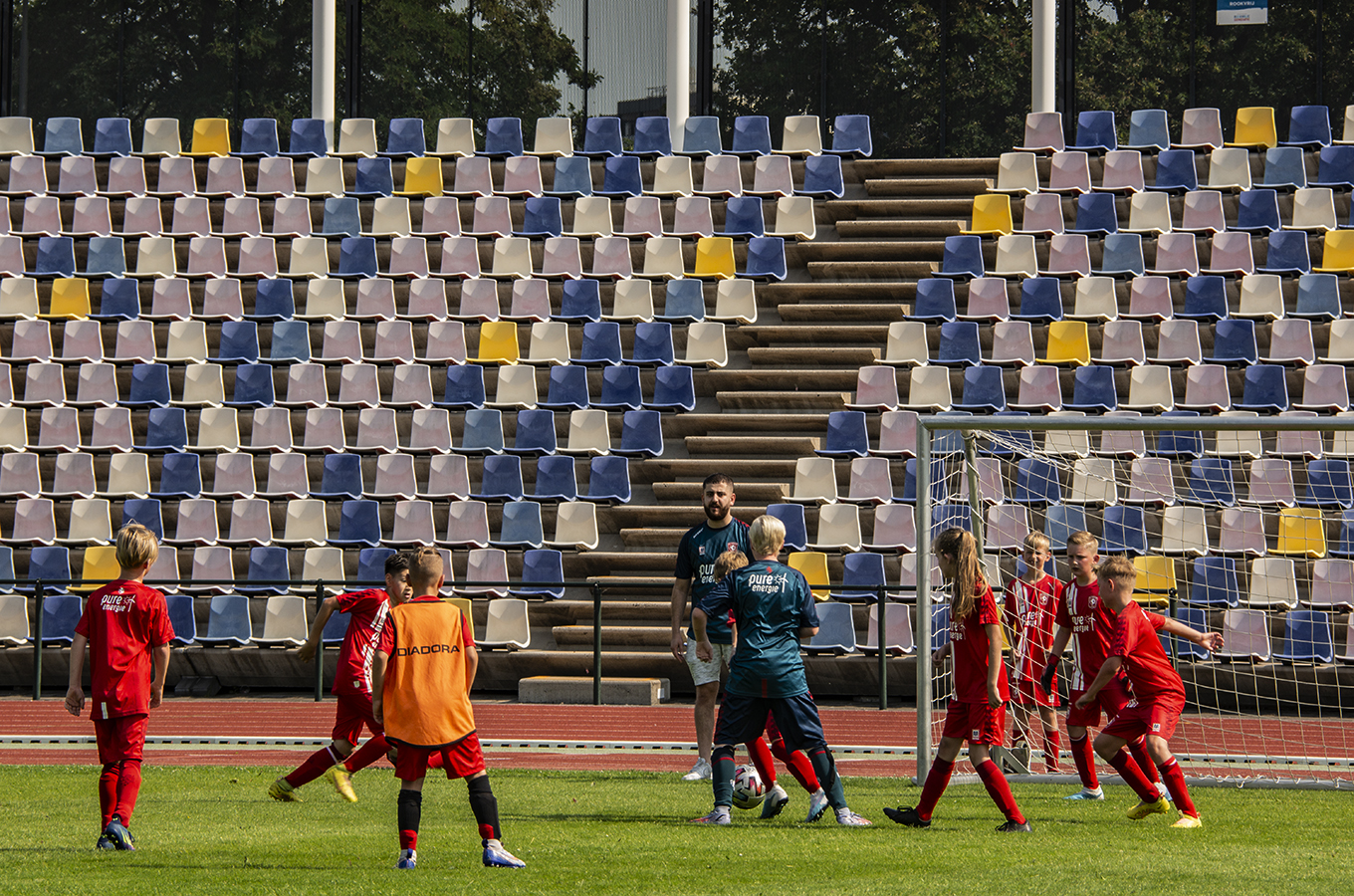 fc 19